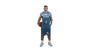 Liga Endesa Basketball Sticker by ACB
