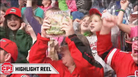 happy dance GIF by Charlotte Checkers