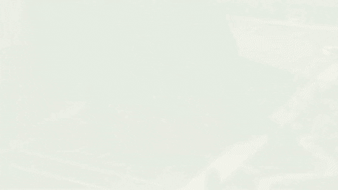 Octoplus GIF