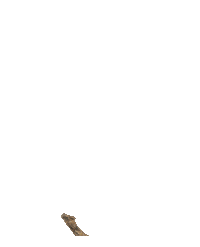 Life Grow Sticker by CreateDrop