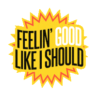 thevibebox happy cool vibes sunday Sticker