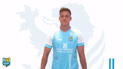 Fc GIF by ChemnitzerFC