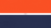 Uva Football GIF by Virginia Athletics