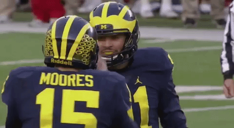 GIF by Michigan Athletics