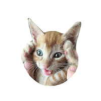 IXSERA cat cats screaming eb Sticker