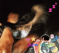 Good Night Jg GIF