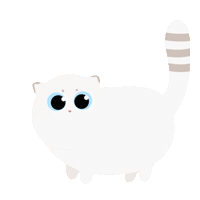 qsera cat kitten meow Quinton Sticker