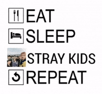 Stray Kids Skz GIF