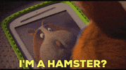 John Krasinski Animation GIF by The Animal Crackers Movie