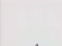 the adventures of pete and pete season number GIF