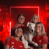 Puppy Softball GIF by Louisville Cardinals