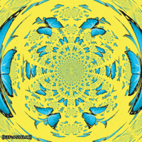 Art Beauty GIF by Psyklon