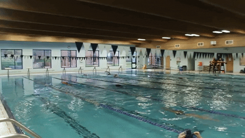 Wethebeach Virginiawesleyan GIF by VWU Marlins