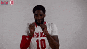 The Valley Mvc GIF by Missouri Valley Conference