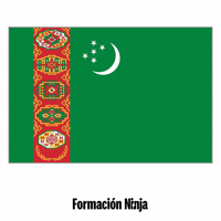 Turkmenistan Flag GIF by Formación Ninja