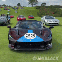 The Bridge Supercar GIF