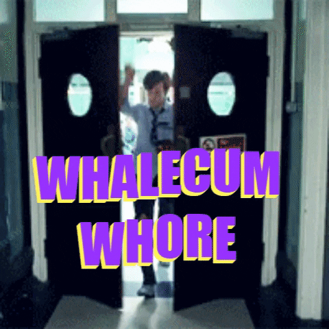 SirSwissbake giphygifmaker GIF
