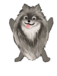 Pomeranian Pom Sticker