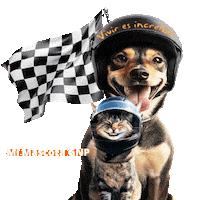 Ocesa Gnp Seguros Sticker by NASCAR México