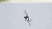 Cat Animation GIF by Astral Clocktower Studios
