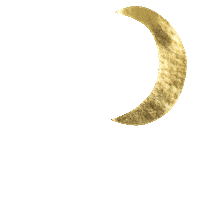 Moon Dph Sticker by Le Grand Palais