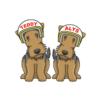 Teddy Terriers Sticker