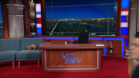 happy stephen colbert GIF by The Late Show With Stephen Colbert