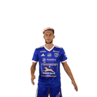 Football Soccer Sticker by FCVB