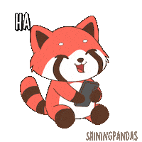 Red Panda Laughing Sticker
