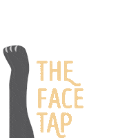 Sleepy Wake Up Sticker by Sheba Official