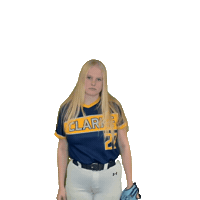 Clarke Softball Sticker by Clarke University