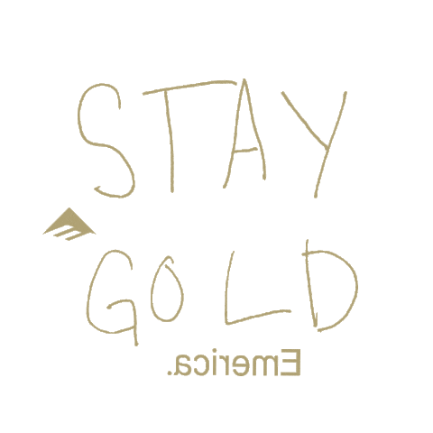 stay gold shoes Sticker by Emerica.