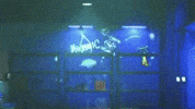 Luv Loco GIF