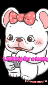Take Me Home GIF by Miamiregalblues