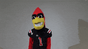Shaking Oh No GIF by Ball State University
