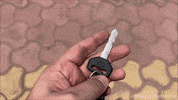 Driving Lets Go GIF by Namaste Car
