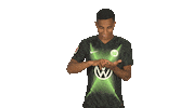 Swipe Up Vfl Wolfsburg Sticker by Bundesliga