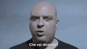rugbycolorno colorno che dici zburla sburla GIF