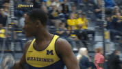 michigan men's gymnastics GIF by Michigan Athletics