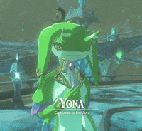 The Legend Of Zelda GIF
