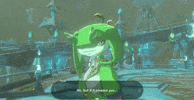 The Legend Of Zelda GIF
