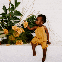 ashleyroseclothing summer flower flowers rose GIF