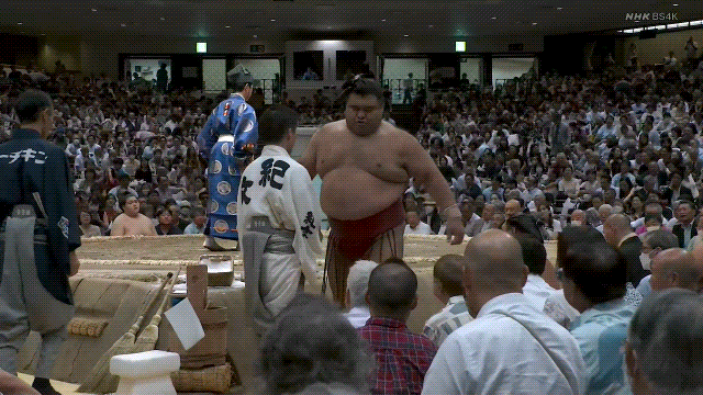 Sumo Takayasu GIF