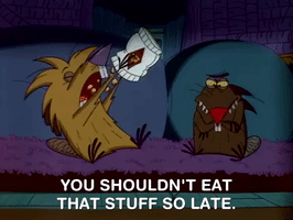 nickrewind nicksplat angry beavers GIF