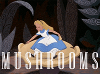 alice in wonderland mushrooms GIF