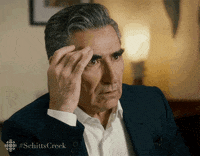 Schitts Creek What GIF by CBC