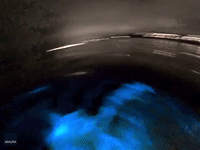 Surfer Rides Glowing Bioluminescent Waves in Oceanside, California