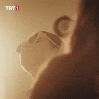 Dance Laughing GIF by TRT