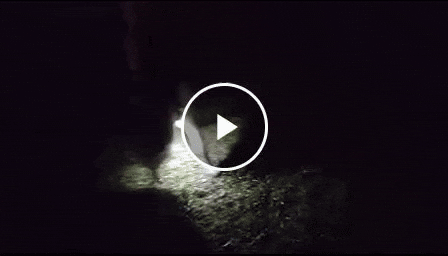 EMILEXX giphyupload GIF