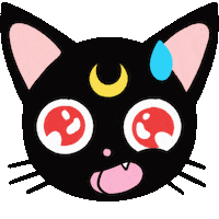 Sorry Cat Sticker